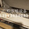蛋雞籠設(shè)備