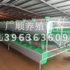歐式兔籠安裝工地